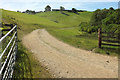 Track to Middlecott Wood