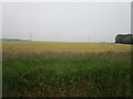 Cut field near Roxholme Grange