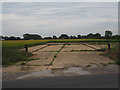 Cereal crop and remains of wartime road