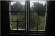 TQ1572 : View of a tree through a window of Strawberry Hill House by Robert Lamb