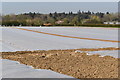 Fleece covered field at Spratt