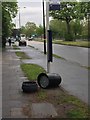 Bin waiting for a bus?