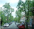 The tree lined North Parade viewed from the Ormeau Road