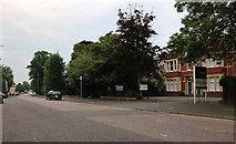 TL1999 : Lincoln Road, Peterborough by David Howard