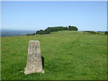 TQ1312 : Chanctonbury Hill - trig point and Ring by Robin Webster