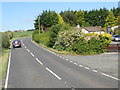 Shelter belt around a bungalow on the A25