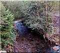 Upstream along the Ogwr Fawr, Wyndham