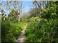 The Round Dingwall walk - Tulloch Castle section