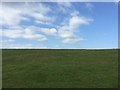 SM7907 : Grassland on Lower Marloes Farm by Alan Hughes