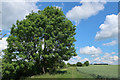 Footpath from Haverhill