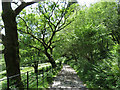 Path descending to Nantgwynant