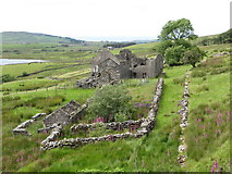 SH5544 : The ruined Tal-y-llyn Farm at Cwmystradllyn by Gareth James