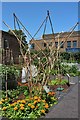 Student Kitchen Garden