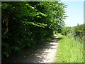 Path beside the Nottingham Canal near Cossall