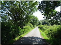 Robinettes Lane near Cossall