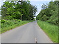 Minor road beside Gauldswell Wood