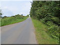 Minor road beside Forest of Alyth