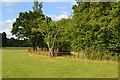 Field railing at Locklerley Hall Park