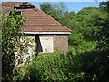 Derelict cottage on Balmuidy Road