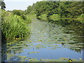 The Forth & Clyde Canal at Bishopbriggs