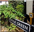 Yellow hydrant marker, Castle Green, Kenilworth