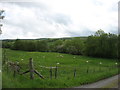 Fields near Bewcastle