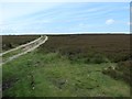 NZ7202 : Track heading south-west on Glaisdale Moor by Christine Johnstone