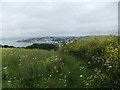 St Mawes from across the water