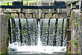 NS5669 : Cascading water, Lock 25, Maryhill by Alan Murray-Rust