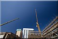 Cranes towering above the Customs House