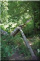 Fallen Fencepost on Brook St