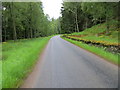 Minor road passing through Alltcailleach Forest