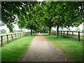 Footpath to Houghton House, Ampthill