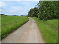 Minor road near to Newton of Bamff