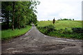 Muddy lane, Aghnamoe