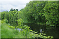 Forth and Clyde Canal, Temple