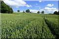 Farmland, Priors Marston