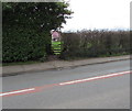 Stile between hedges, Marshfield