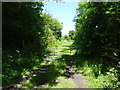 Gated farm track off Measham Road