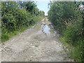 J0608 : Muddy track linking Racecourse Road with the trackbed of the former Dundalk to Newry Railway line by Eric Jones