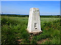 Ordnance Survey Trig Pillar on Blundell