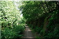 Basingstoke Canal