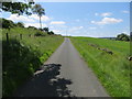 Minor road heading in the direction of Nether Ascreavie