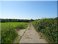 Track off Willesley Lane, Ashby-de-la-Zouch