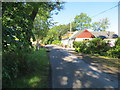 Minor road at Nether Craig