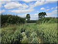 The end of a footpath from Lenton