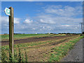 SD4222 : Farmland off Moss Lane by David Dixon