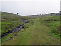 Track to the ruins