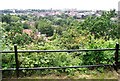 TG2309 : View across the city of Norwich from Kett's Heights by Evelyn Simak