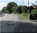 Dark green cabinet on a Caerleon corner